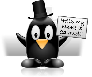 Our Penguin Mascot Caldwell